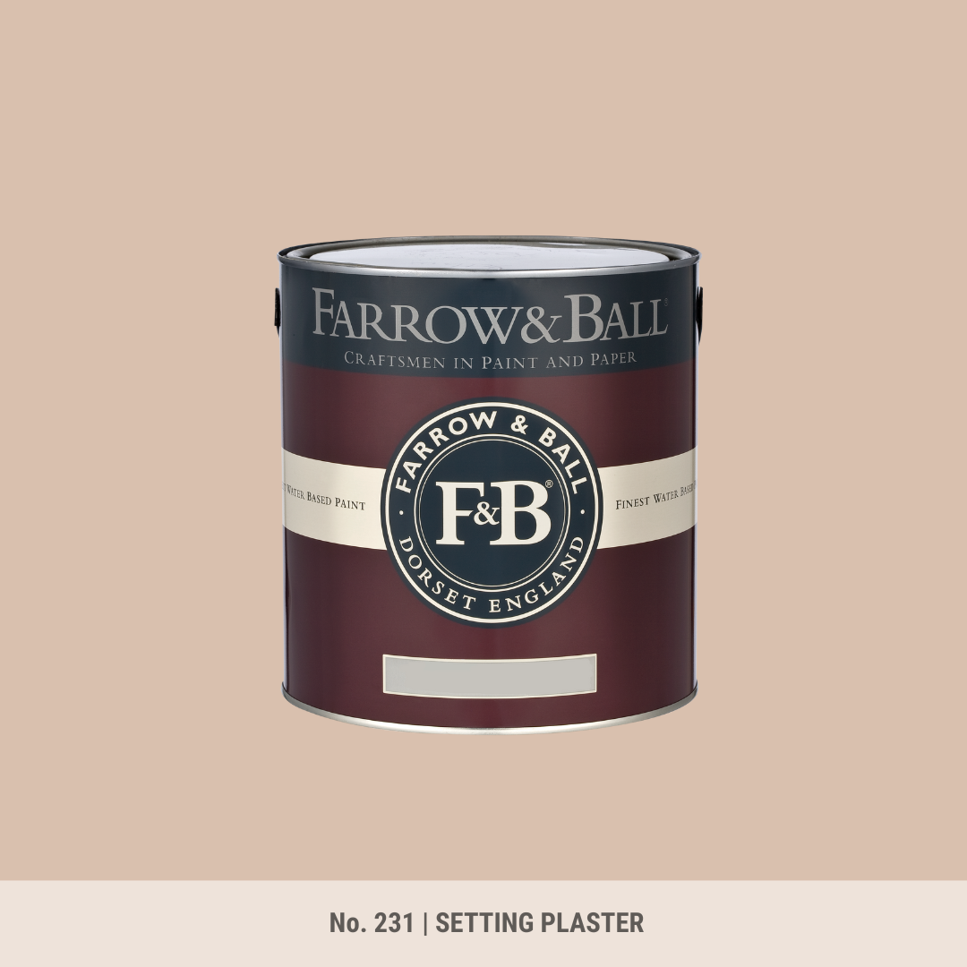 Farrow & Ball - Setting Plaster No. 231