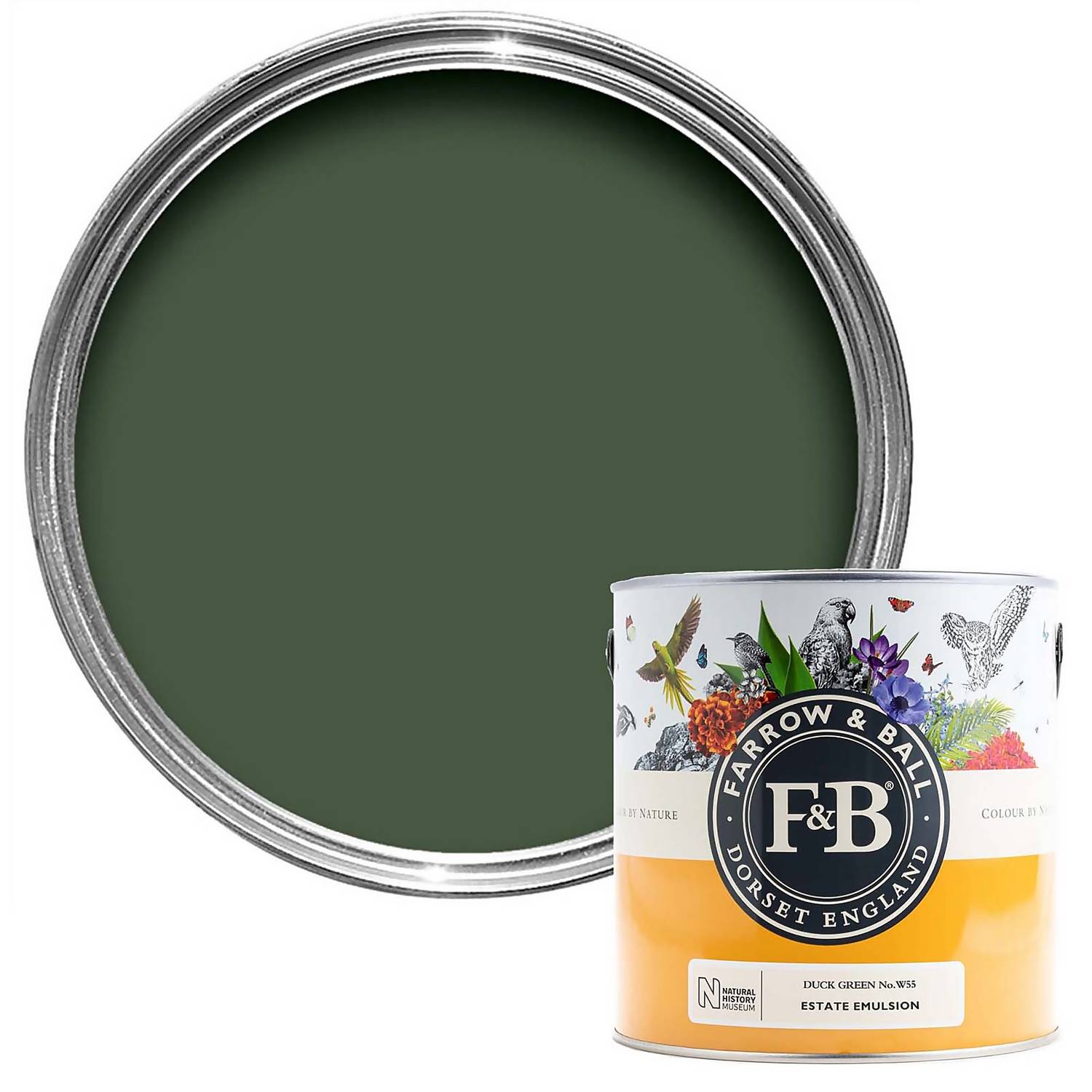 Duck Green No.w55