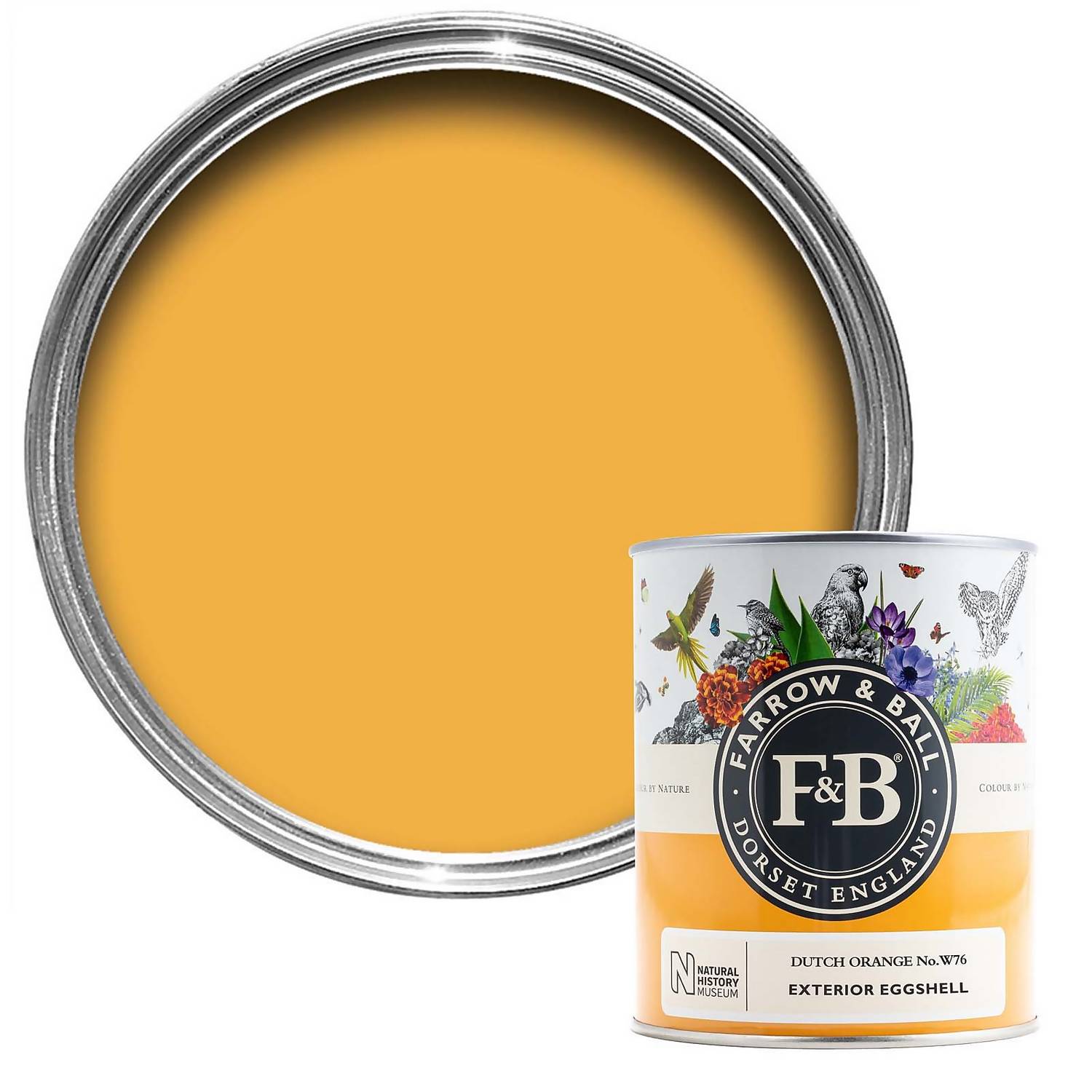 Dutch Orange No.w76