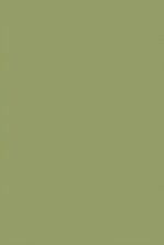 Olive No. 13