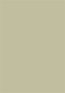 Ash Grey No.W9