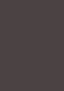 Tanners Brown No. 255